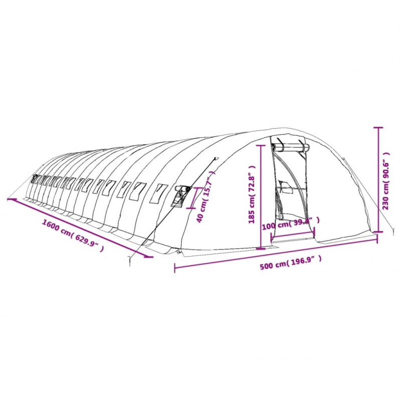 Szklarnia ze stalową ramą, zielona, 80 m², 16x5x2,3 m