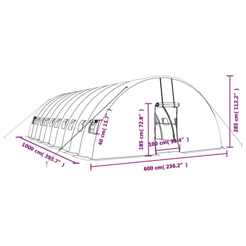 Szklarnia ze stalową ramą, zielona, 60 m², 10x6x2,85 m