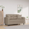 2-osobowa sofa z poduszkami, kolor taupe, 120 cm, mikrofibra