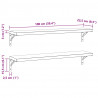 Półki ścienne, 2 szt., 100x23,5 cm, srebrna stal nierdzewna