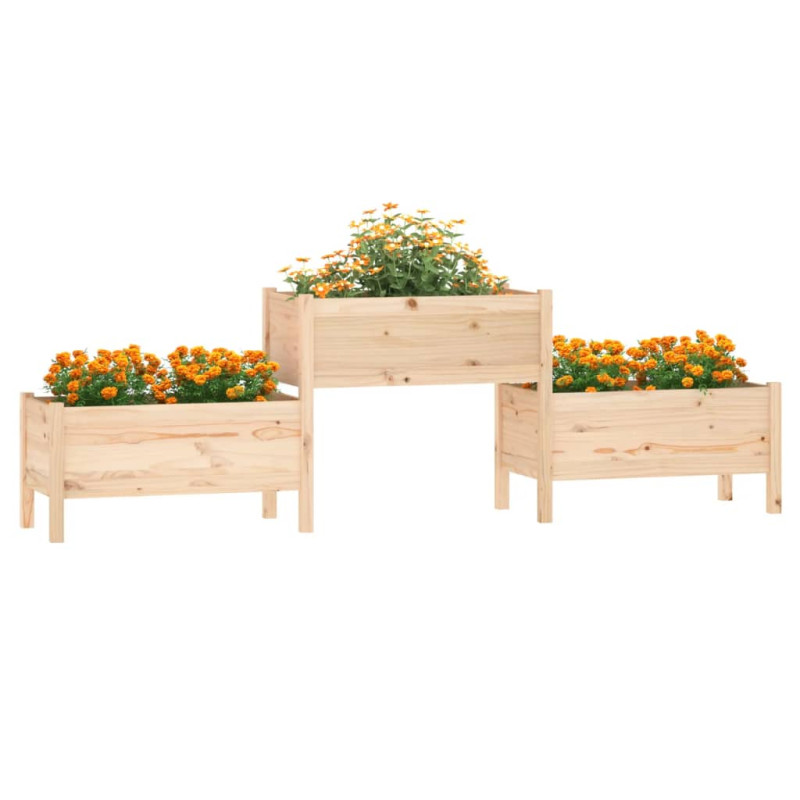 Donica, 245,5x44x75 cm, lite drewno sosnowe