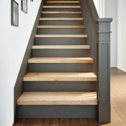 Stopnie schodowe, 16 szt. surowe 70x25x2cm lite drewno dębowe