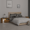 Szafki nocne z LED, 2 szt., przydymiony dąb, 70x36,5x 40 cm
