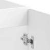 Szafka pod zlew z przechowywaniem Lucca 2 pcs Szary Sonoma