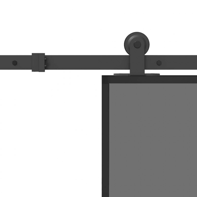 Drzwi przesuwne z osprzętem, 102,5x205 cm, szkło i aluminium