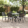 Zestaw do jadalni w ogrodzie 7 pcs Czarny Aluminium