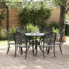 Zestaw do jadalni w ogrodzie 7 pcs Czarny Aluminium