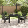 Zestaw do jadalni w ogrodzie 3 pcs Czarny polirattan