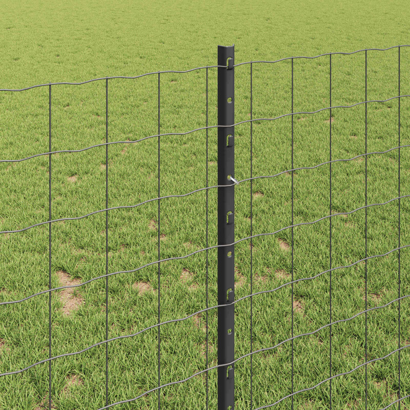 Ogrodzenie z słupkiem Szary 1 x 10 m Stal