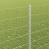 Ogrodzenie z słupkiem Srebrny 1,4 x 10 m Stal