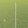 Ogrodzenie z słupkiem Srebrny 1 x 10 m Stal