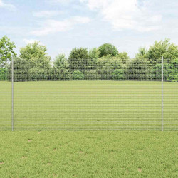 Ogrodzenie z słupkiem Srebrny 1,2 x 10 m Stal