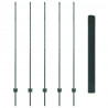 Ogrodzenie z słupkiem Zielony 1,6 x 10 m Stal i PVC