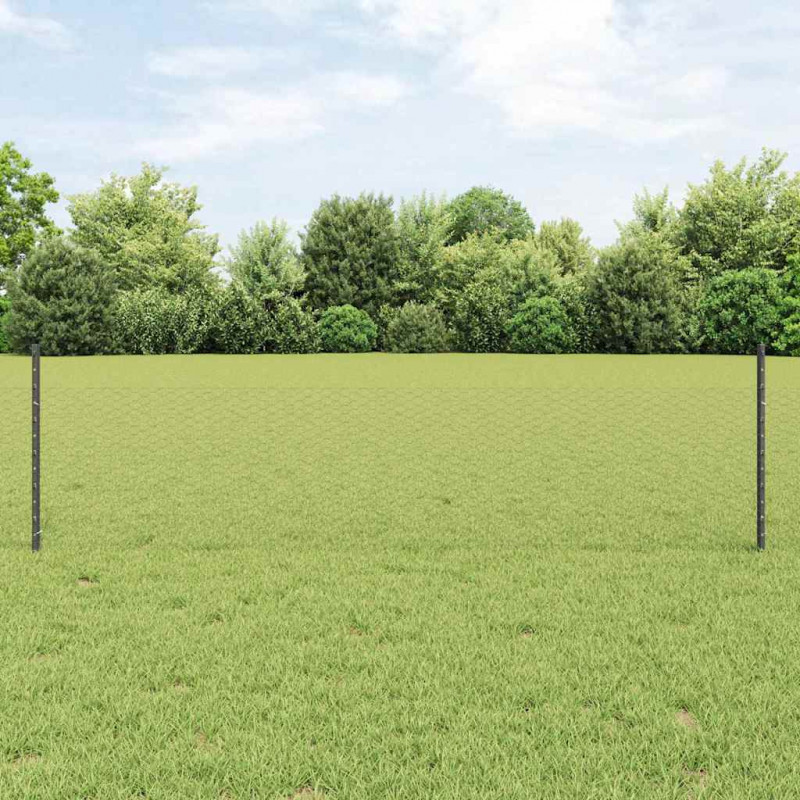 Ogrodzenie z słupkiem Szary 0,5 x 10 m Stal i PVC