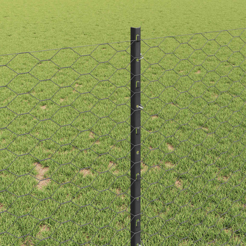 Ogrodzenie z słupkiem Szary 0,8 x 10 m Stal