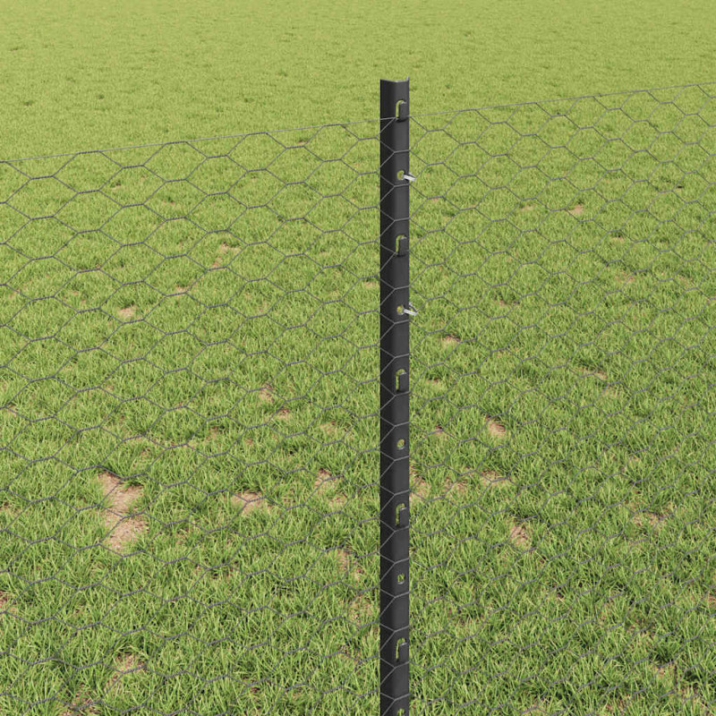 Ogrodzenie z słupkiem Szary 1 x 10 m Stal i PVC