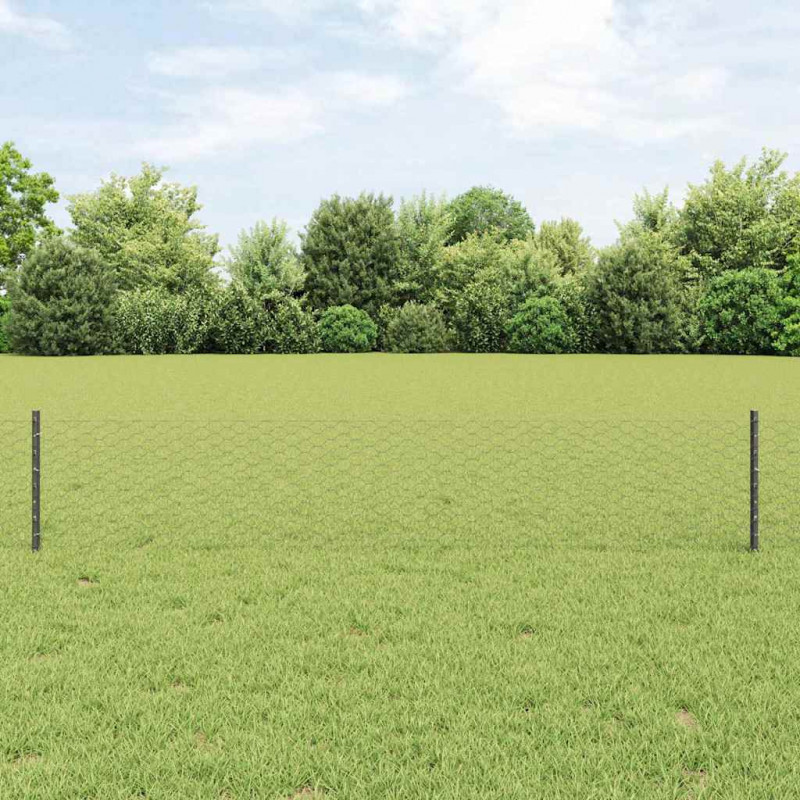 Ogrodzenie z słupkiem Szary 0,4 x 25 m Stal