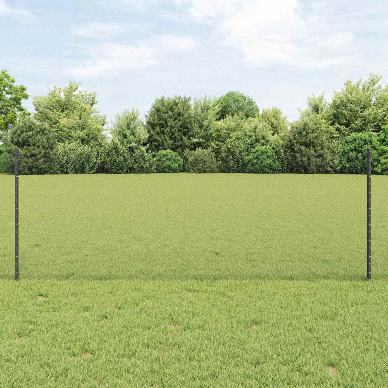 Ogrodzenie z słupkiem Szary 0,8 x 25 m Stal