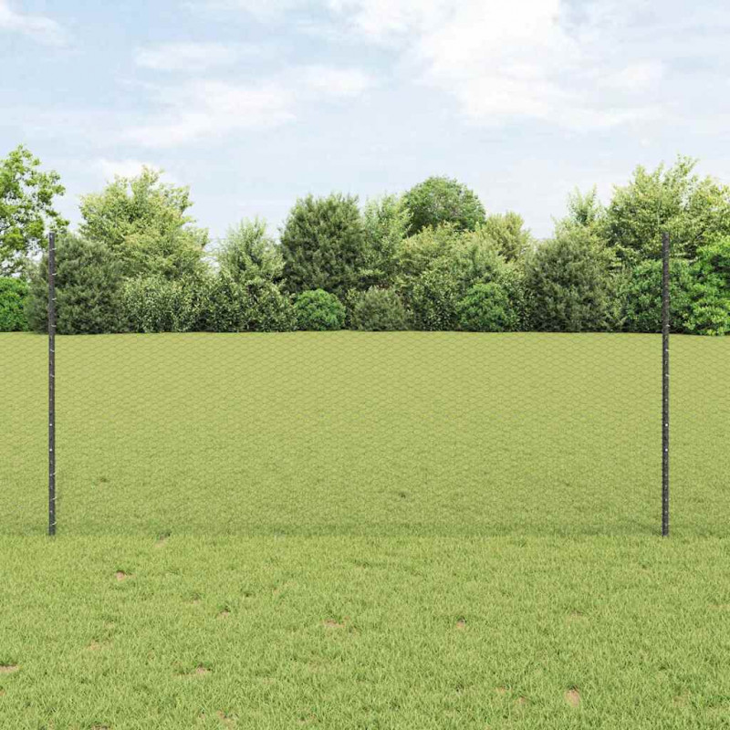 Ogrodzenie z słupkiem Szary 1,2 x 25 m Stal