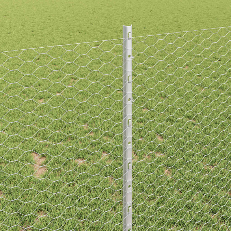 Ogrodzenie z słupkiem Srebrny 1 x 10 m Stal