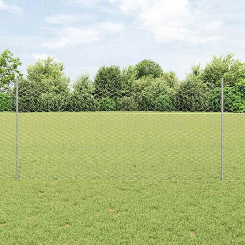 Ogrodzenie z słupkiem Srebrny 1,2 x 10 m Stal