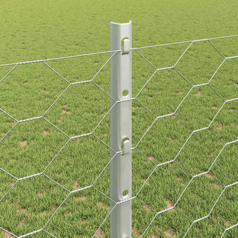 Ogrodzenie z słupkiem Srebrny 1,2 x 10 m Stal