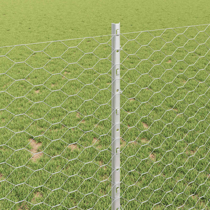 Ogrodzenie z słupkiem Srebrny 1 x 50 m Stal