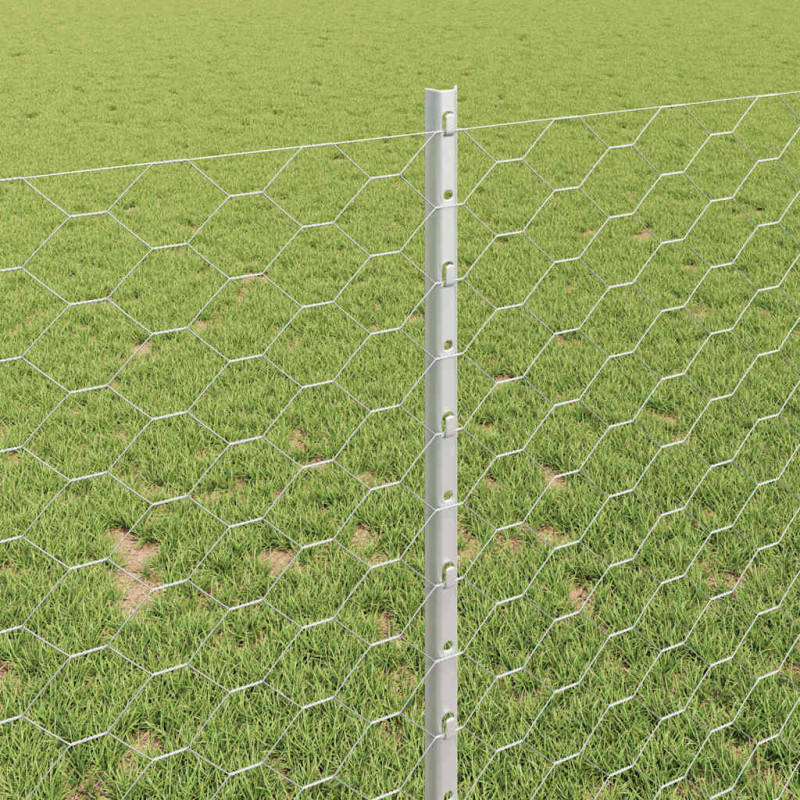 Ogrodzenie z słupkiem Srebrny 1 x 50 m Stal