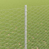 Ogrodzenie z słupkiem Srebrny 1,4 x 50 m Stal