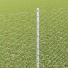 Ogrodzenie z słupkiem Srebrny 1,5 x 50 m Stal