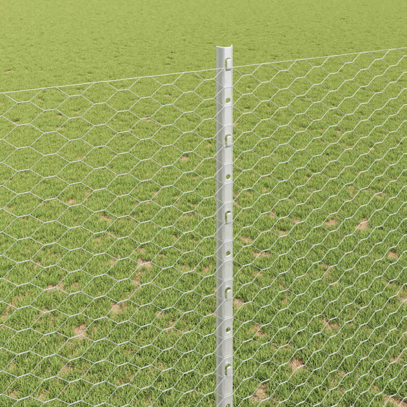 Ogrodzenie z słupkiem Srebrny 1,6 x 100 m Stal