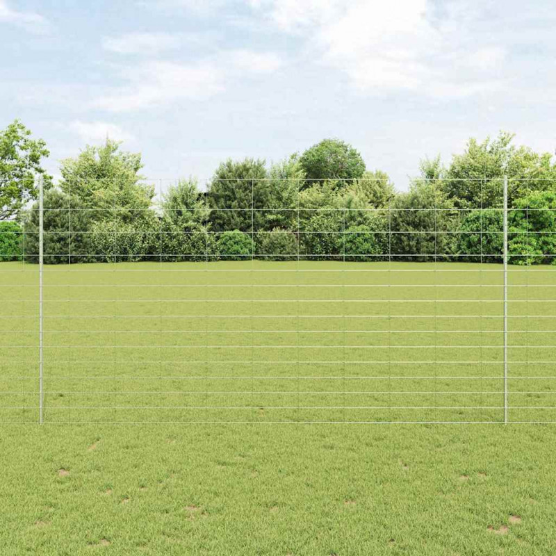 Ogrodzenie z słupkiem Srebrny 1,6 x 50 m Stal