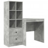 Biurko z szufladą 2 pcs Betonowy szary