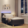 Łóżko z sprężyną LED z LED Ciemny brąz 100 x 200 cm tkanina