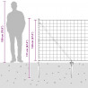 Ogrodzenie z słupkiem Szary 1,2 x 10 m Stal
