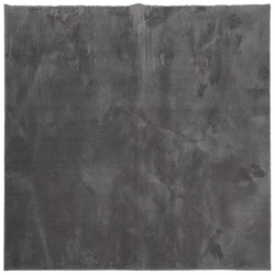 Dywan HUARTE z krótkim włosiem, antracytowy, 200x200 cm