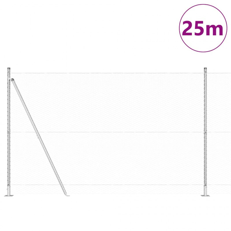 Słupek ogrodzeniowy. Srebrny 25 x 1,6 m (25 mm siatka) Stal