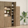 Szafka do przechowywania 3 pcs Dąb rzemieślniczy