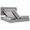 Łóżko z miejscem do przechowywania Jasnoszary 200 x 200 cm