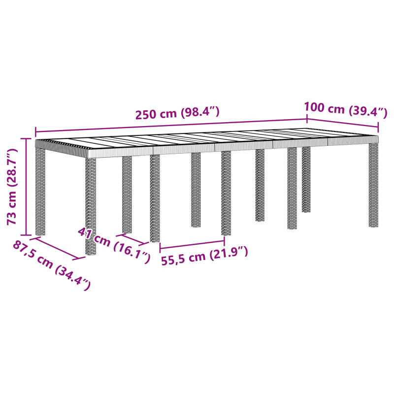 Stół Ogrodowy Antracyt 250 x 100 x 73 cm polirattan