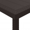 Stół Ogrodowy Brązowy 300 x 100 x 73 cm polirattan