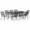 Zestaw do jadalni w ogrodzie 9 pcs Antracyt Stal
