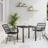 Zestaw do jadalni w ogrodzie 3 pcs Czarny