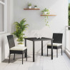 Zestaw do jadalni w ogrodzie 3 pcs Czarny