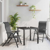 Zestaw do jadalni w ogrodzie 3 pcs Szary