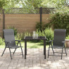 Zestaw do jadalni w ogrodzie 3 pcs Szary