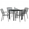 Zestaw do jadalni w ogrodzie 5 pcs Antracyt