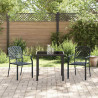 Zestaw do jadalni w ogrodzie 3 pcs Antracyt
