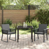 Zestaw do jadalni w ogrodzie 3 pcs Czarny