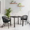 Zestaw do jadalni w ogrodzie 3 pcs Czarny